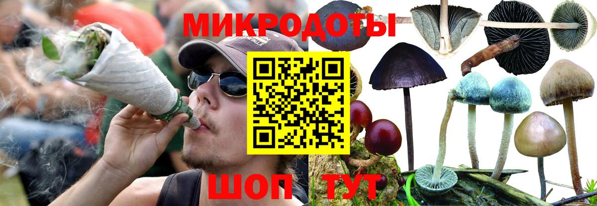 Алушта  Галлюциногенные грибы Cubensis  Вход с VPN 